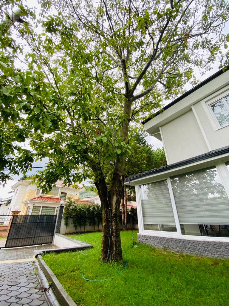 Sapanca Kırkpınar'da Geniş Bahçeli, Doğa İçerisinde, Konforlu Villa