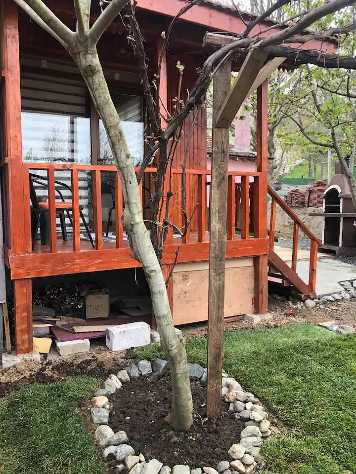 Sapanca Memnuniye'de Müstakil Bahçeli, 2 Kişilik, Kiralık Tiny House-29248