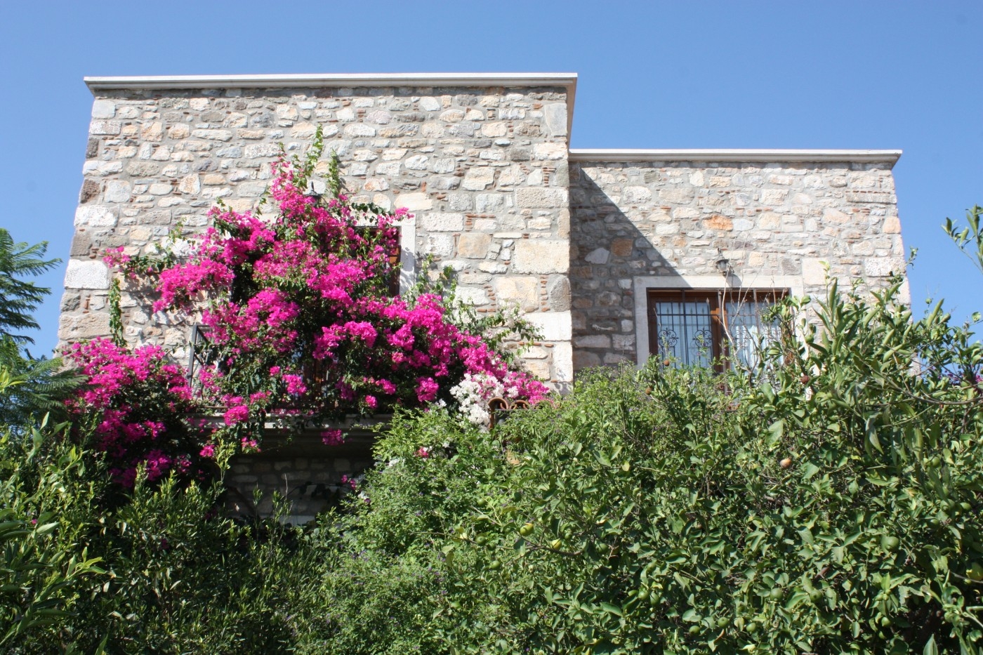 Bodrum Bitez'de Yemyeşil Bahçeli, Özel Havuzlu, Konforlu Villa