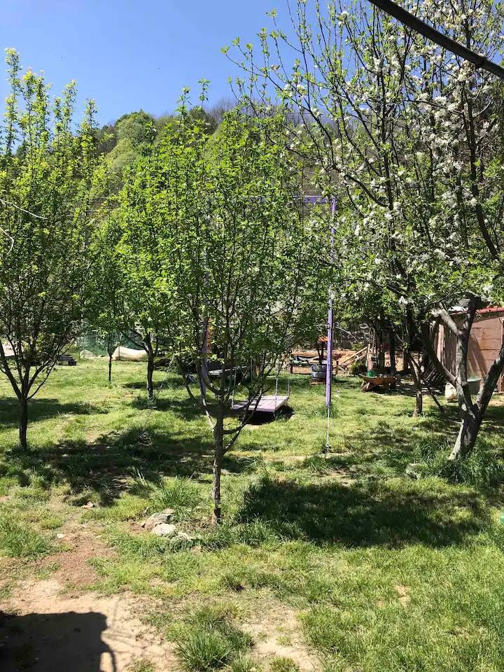 Sapanca Memnuniye'de Müstakil Bahçeli, 2 Kişilik, Kiralık Tiny House