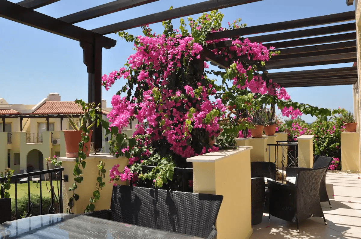Didim Akbük'te Denize Sıfır, Eşsiz Manzaralı, Konforlu Tatil Villası