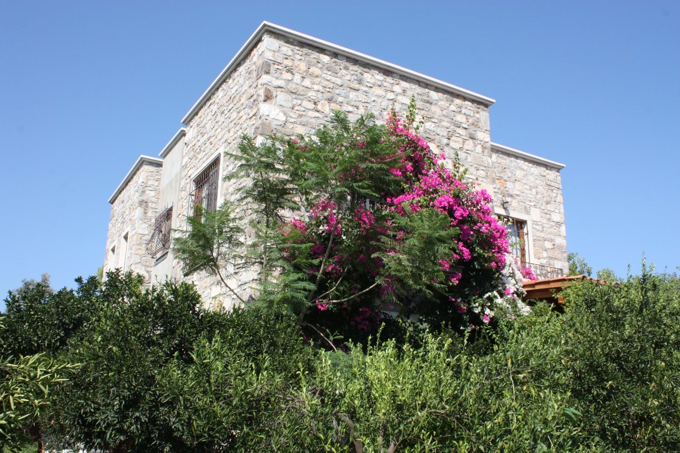 Bodrum Bitez'de Yemyeşil Bahçeli, Özel Havuzlu, Konforlu Villa