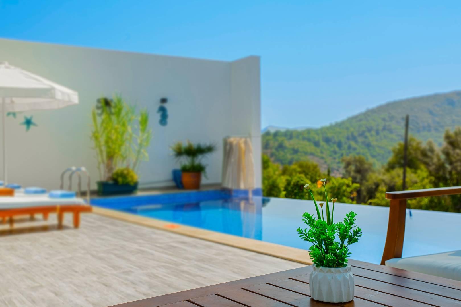 Kaş Üzümlü'de Yemyeşil Doğa Manzaralı, Özel Havuzlu, Jakuzili Villa-27031