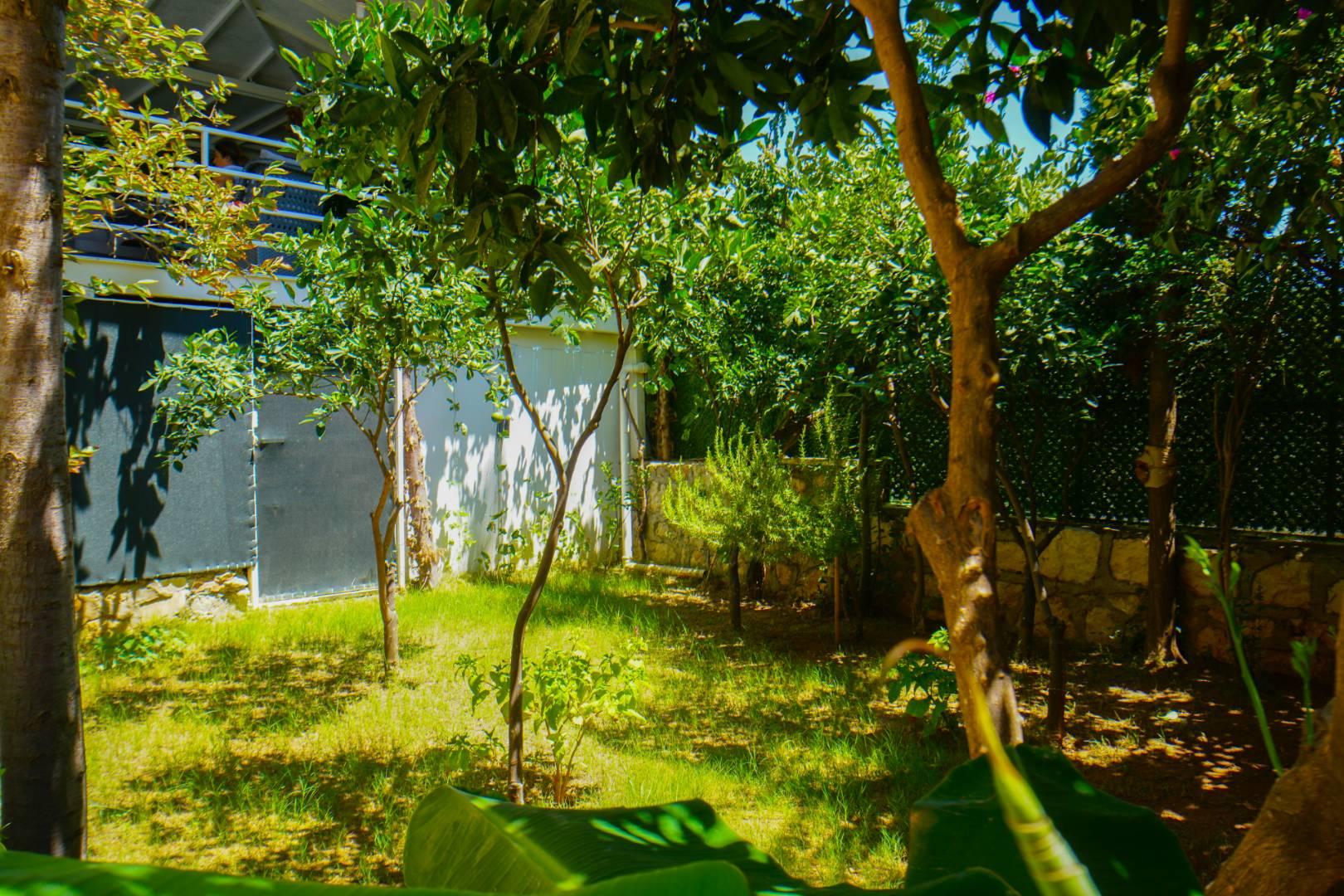 Antalya Demre'de Geniş Bahçeli, Özel Havuzlu, Kiralık Villa-33388