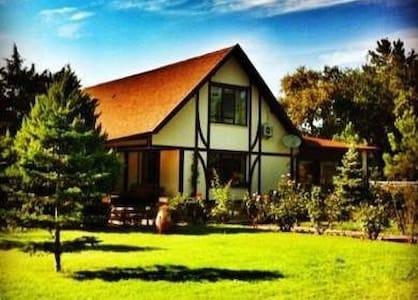 İstanbul'da Görenleri Hayran Bırakan, Büyük Yüzme Havuzlu, Şık Villa-17312