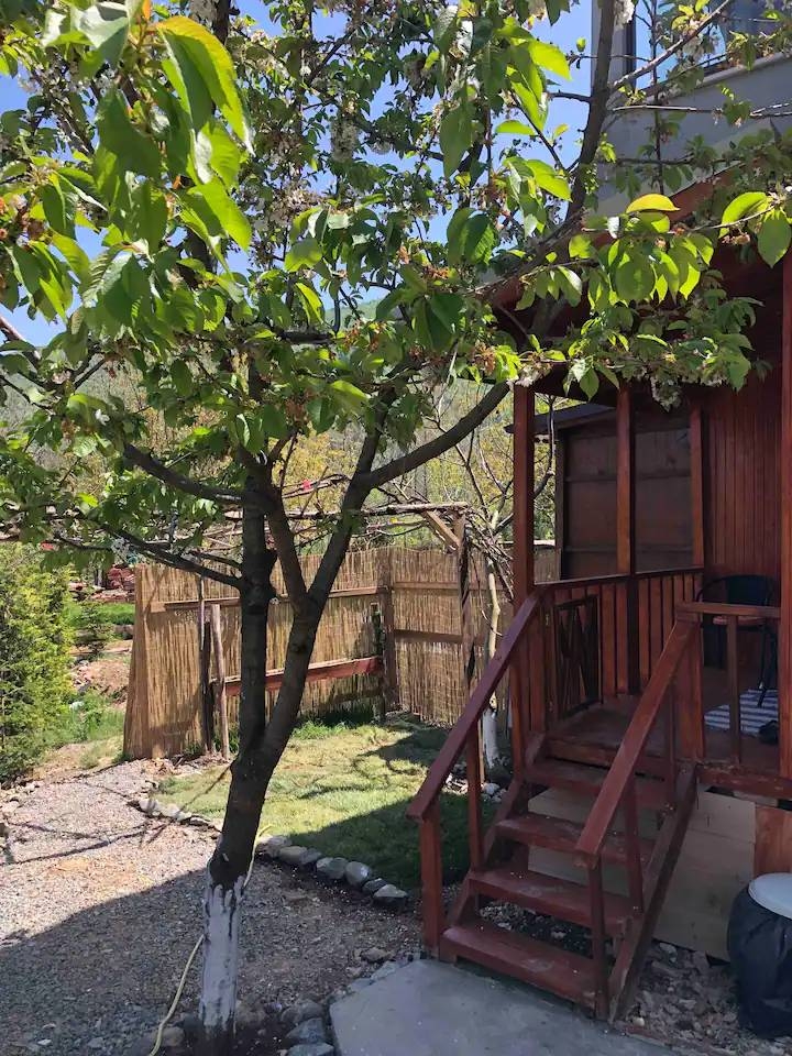 Sapanca Memnuniye'de Müstakil Bahçeli, 2 Kişilik, Kiralık Tiny House