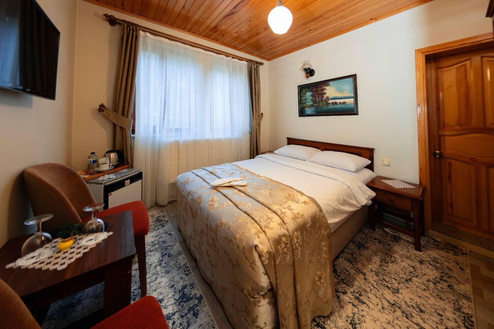 Bolu Abant'ta Dağ Manzaralı, 2 Kişi Kapasiteli, Modern Oda -34877