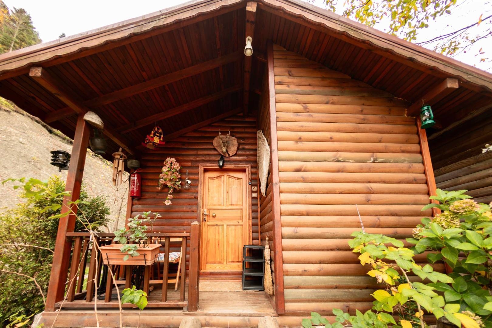 Bolu Abant'ta Huzur Dolu Doğada, Kahvaltı Dahil, Modern Bungalov