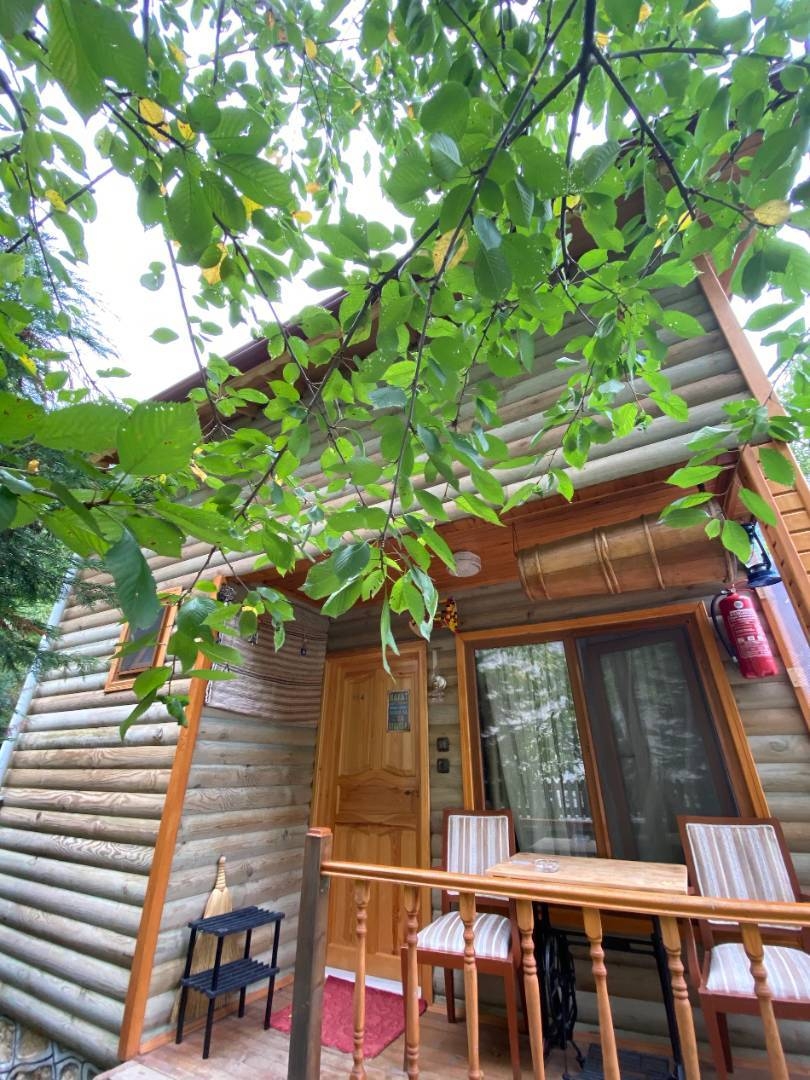Bolu Abant'ta Tesis İçerisinde, Kahvaltı Dahil, Dubleks Bungalov