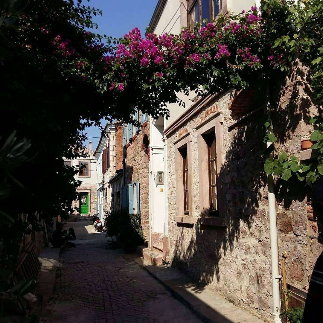 Ayvalık'ta Denize Yakın Konumda, 8 Kişilik, Tarihi Rum Evi-15434