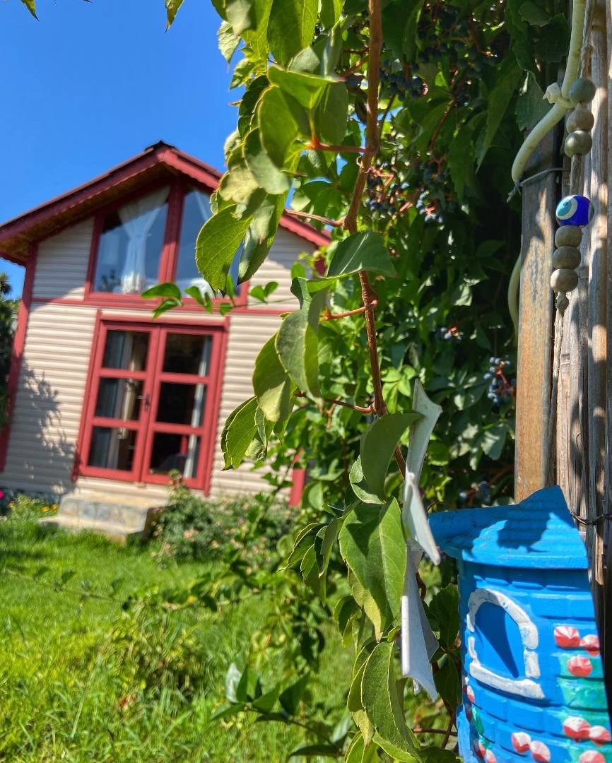 Datça Kızılan'da Huzurlu Doğada, Özel Havuzlu, Ahşap Bungalov-30814