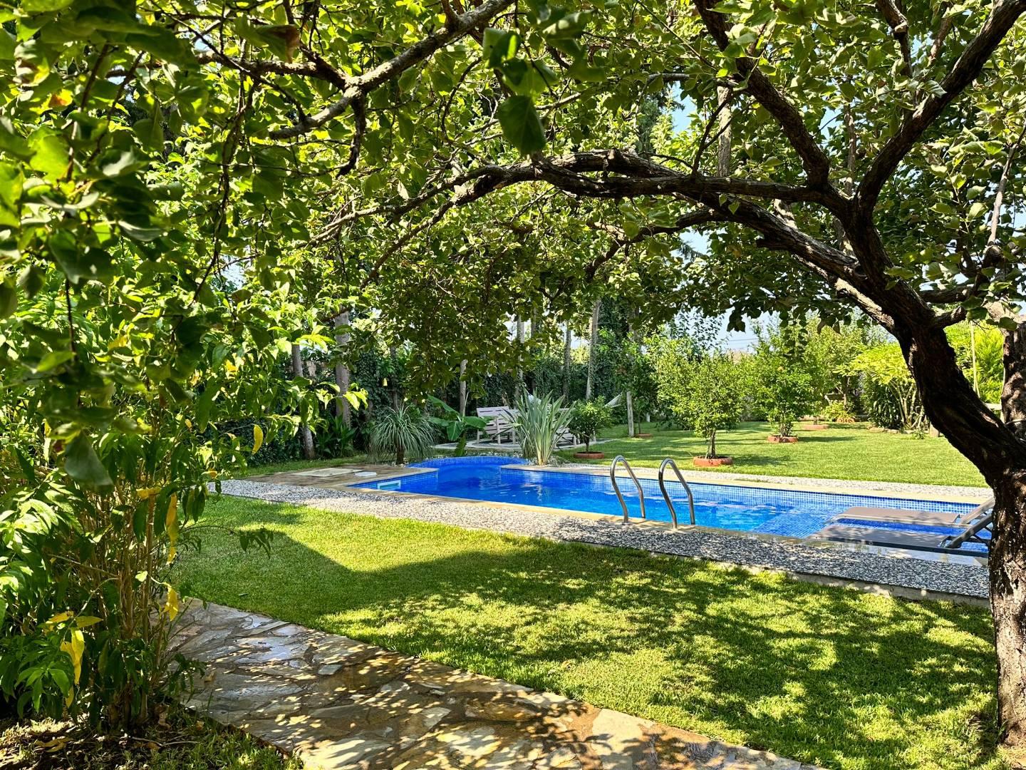 Muğla Datça'da Yeşillikler İçerisinde, Özel Havuzlu, Bahçeli Villa-42911