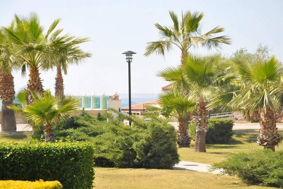 Didim Akbük'te Denize Sıfır Konumda, Konforlu, Bahçeli Yazlık Ev-39048