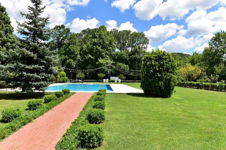 İstanbul'da Görenleri Hayran Bırakan, Büyük Yüzme Havuzlu, Şık Villa-17312