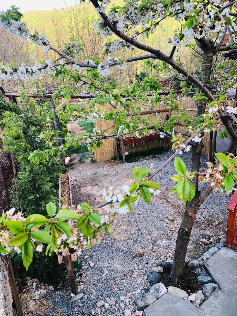 Sapanca Memnuniye'de Müstakil Bahçeli, 2 Kişilik, Kiralık Tiny House