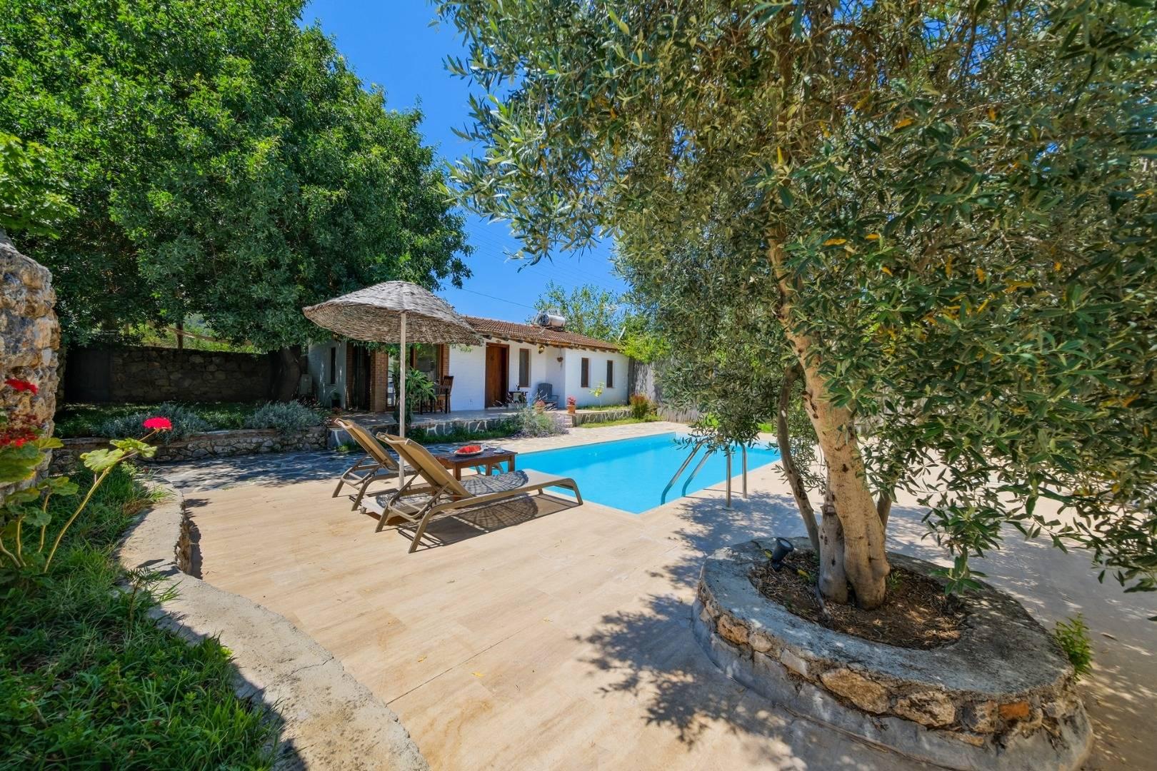 Fethiye Kayaköy'de Balayı Çiftlerine Uygun, Özel Havuzlu, Şık Villa-41055