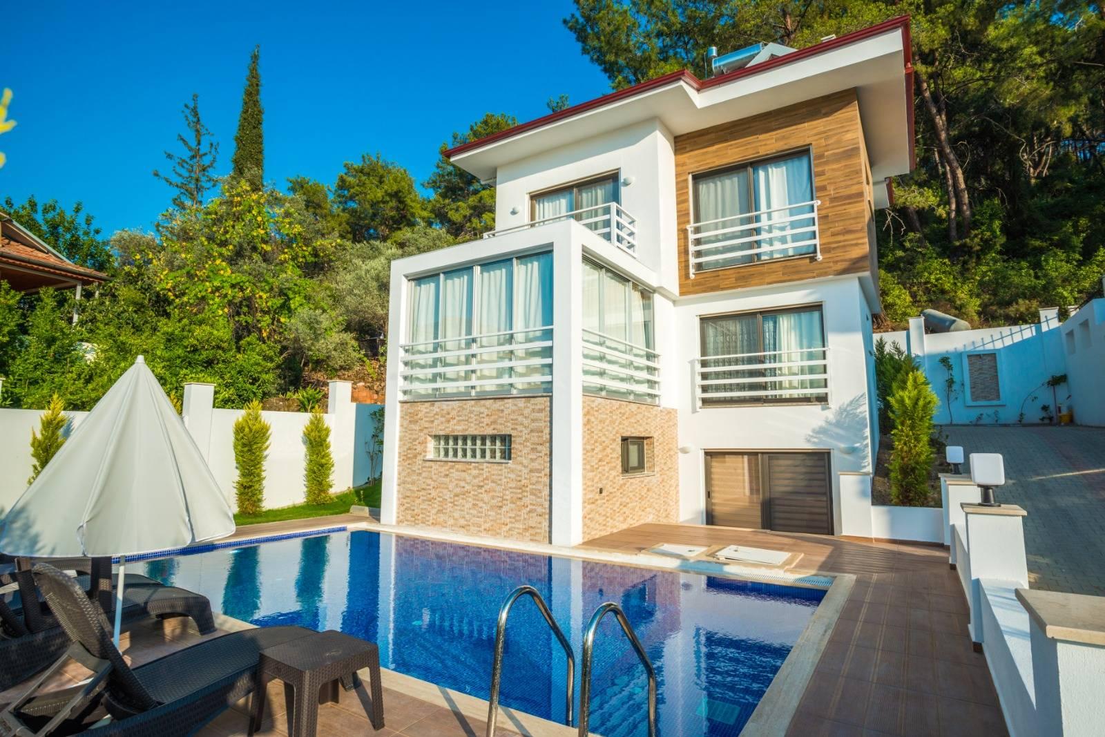 Fethiye Ölüdeniz'de Doğa İle İç İçe, Özel Havuzlu, Ferah Villa-41895