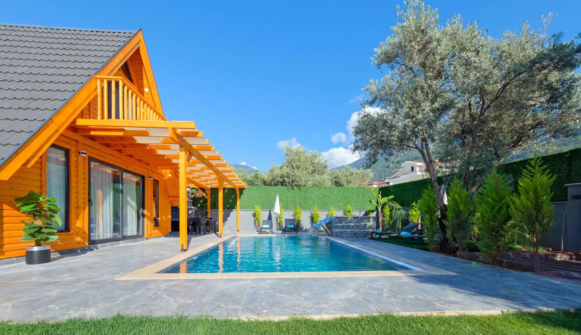 Fethiye Ölüdeniz'de Enfes Doğada, Özel Havuzlu, Şık Bungalov-41897