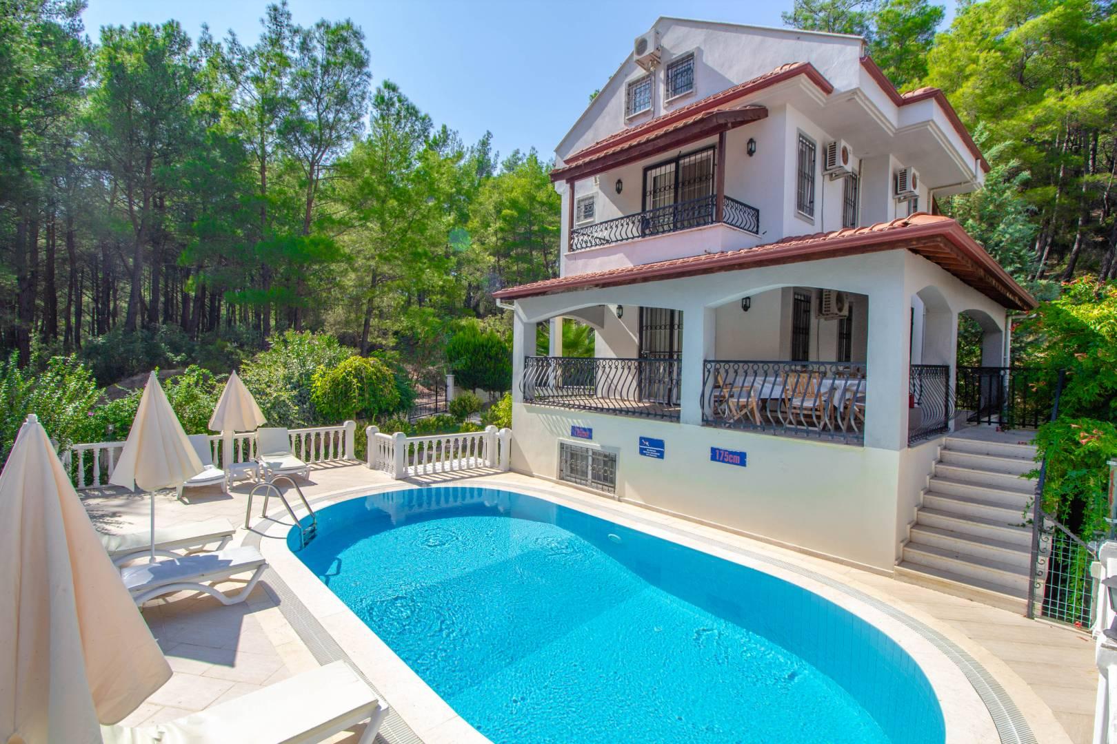 Fethiye Ölüdeniz'de Geniş Ailelere Uygun, Özel Havuzlu, 5+1 Villa-43326