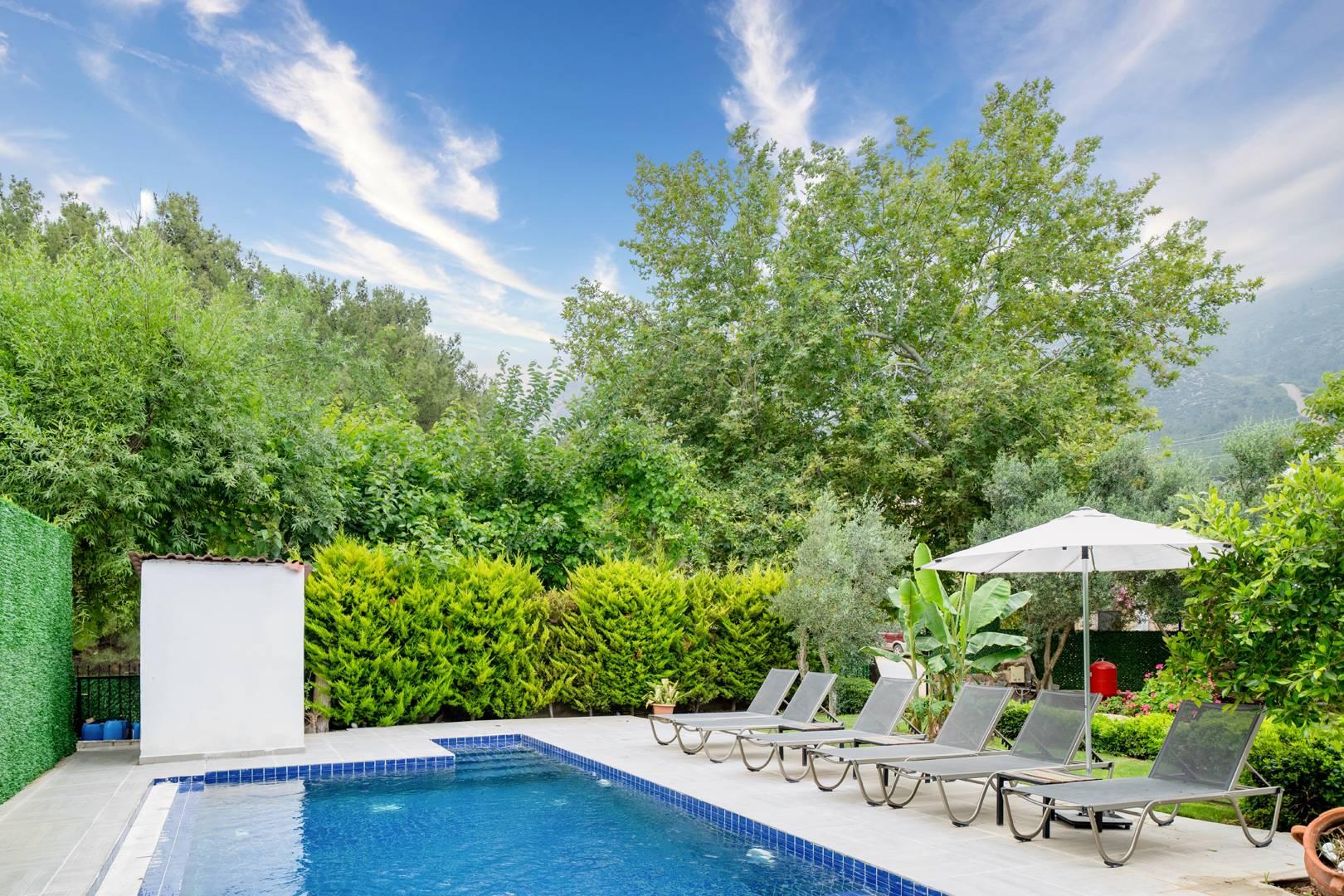 Fethiye Ölüdeniz'de Huzurlu Doğada, Özel Havuzlu, Lüks Villa-41417