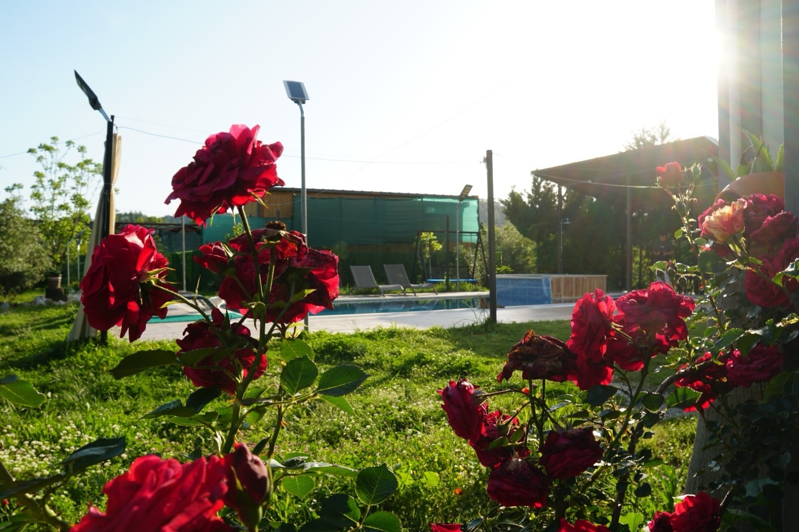 Muğla Köyceğiz'de Kalabalık Ailelere Uygun, Özel Havuzlu, Şık Villa