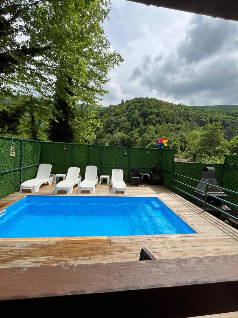 Sapanca Memnuniye'de Sessiz Konumda, Özel Havuzlu, 4 Kişilik Bungalov-40727