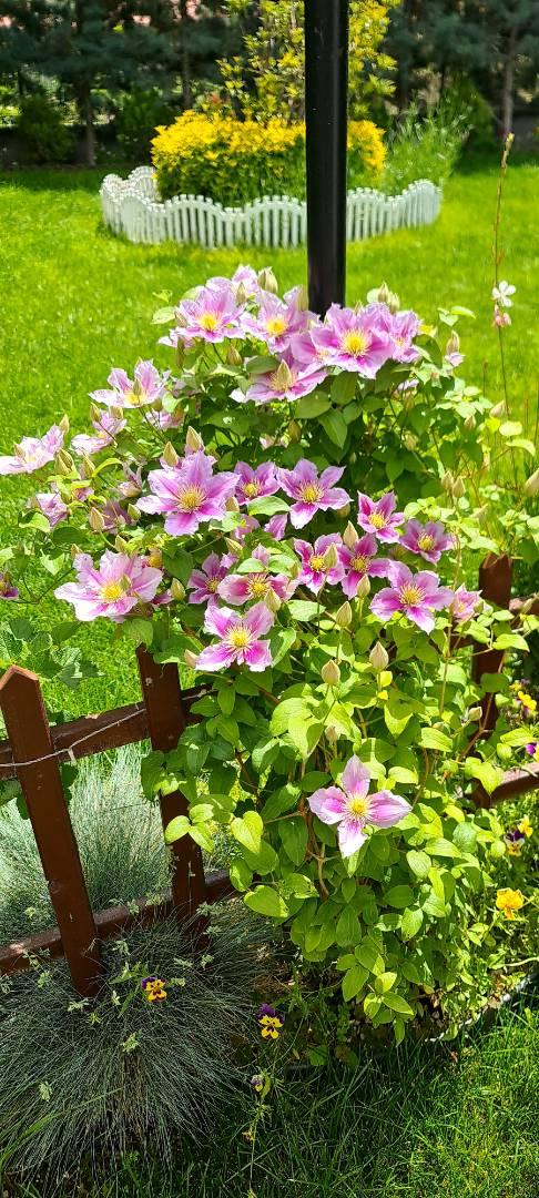 Nevşehir Merkez'de Yemyeşil Bahçeli, Modern Tasarımlı, Kır Evi-37993