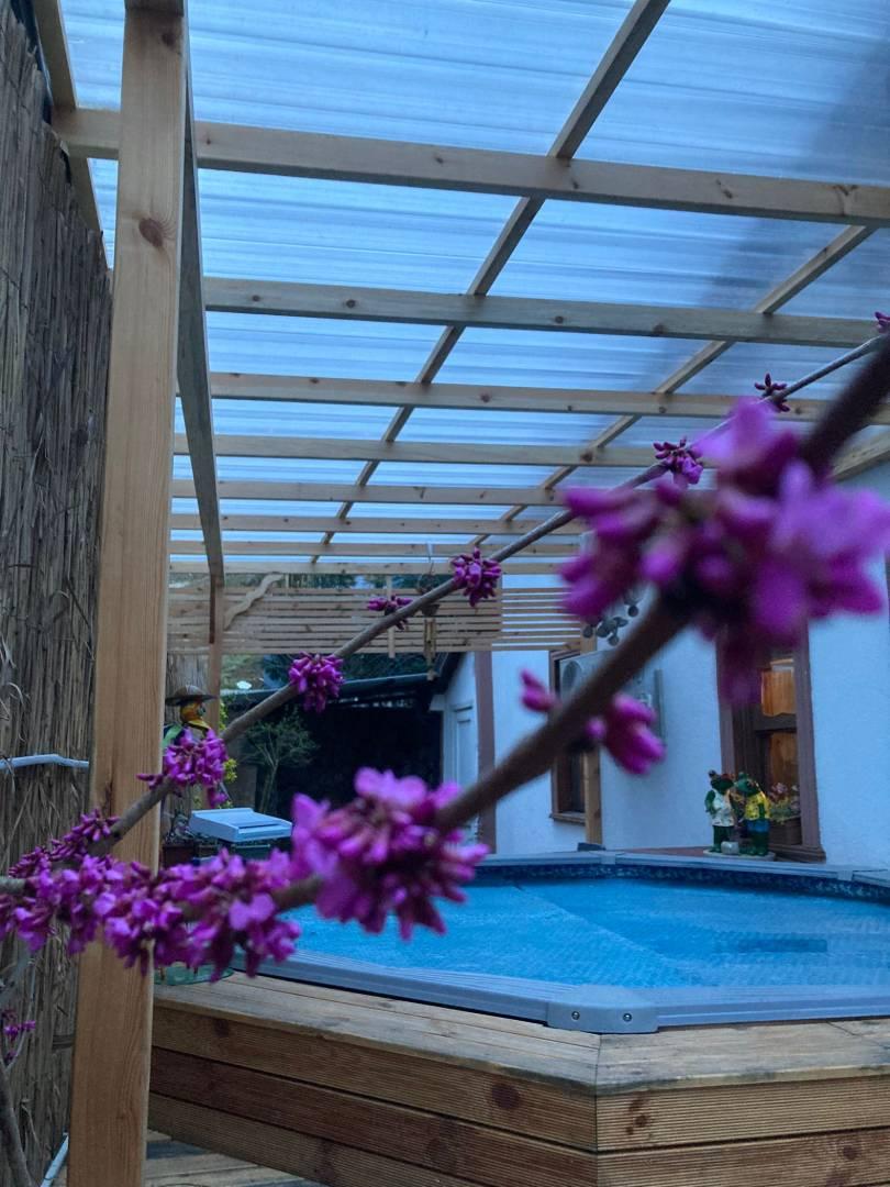 Sapanca Göl'de Otantik Tasarımlı, Isıtmalı Havuzlu, Jakuzili Villa-43571