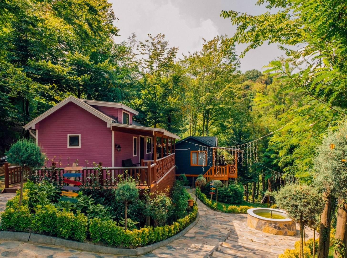 Sapanca Nailiye'de Yemyeşil Doğada, 1+1, Konforlu Tiny House-36195
