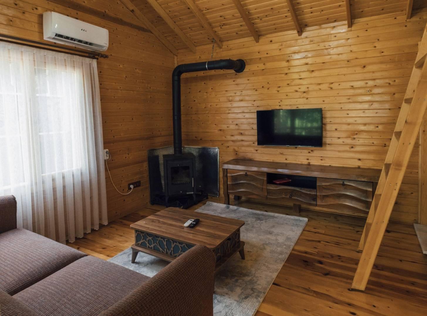 Sapanca Nailiye'de Yeşillikler İçerisinde, Şık Tasarımlı, Tiny House-36179