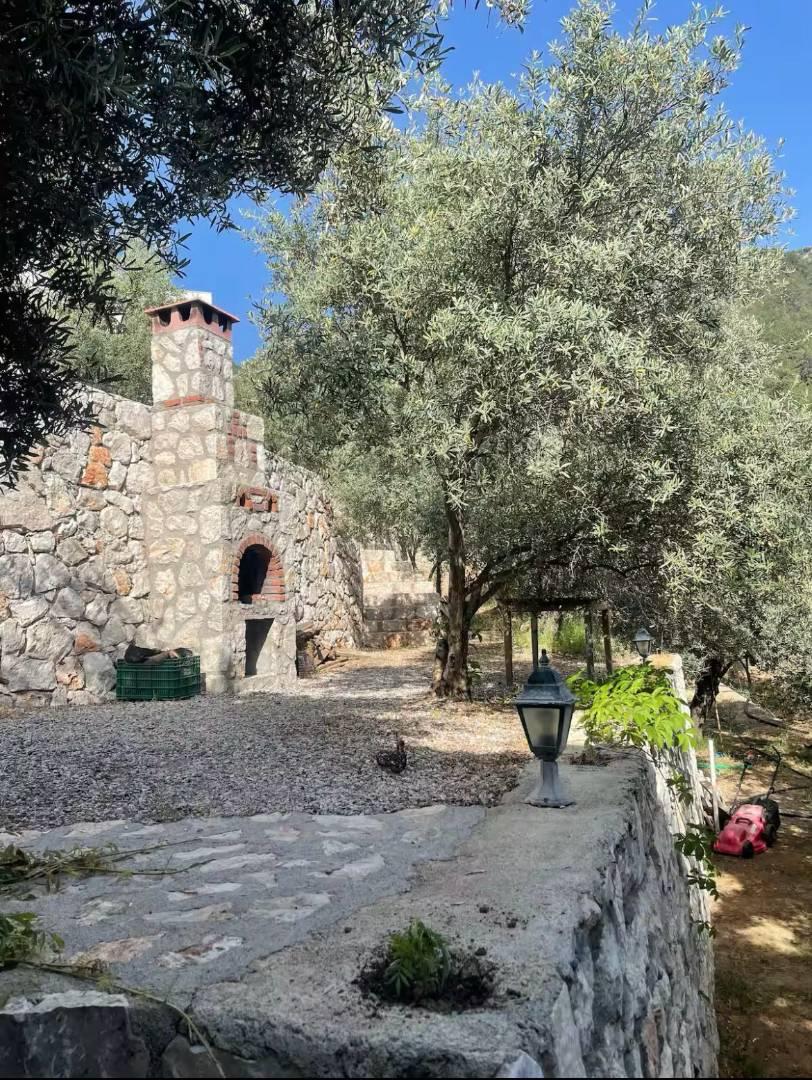 Feyhiye Faralya'da Geniş Bahçeli, Özel Havuzlu, Modern Villa-42005